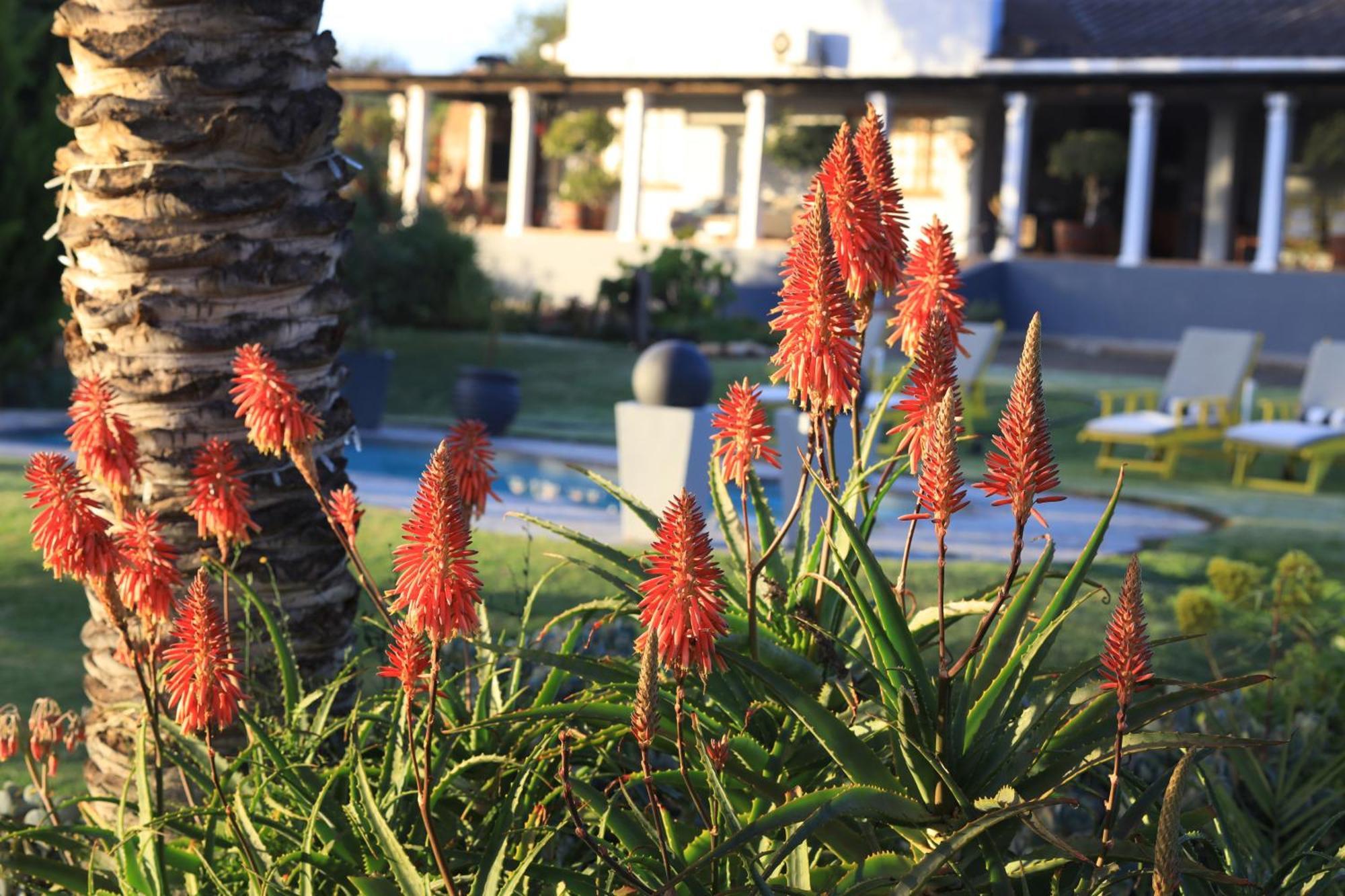 Thylitshia Villa Country Guest House أوتشورن المظهر الخارجي الصورة