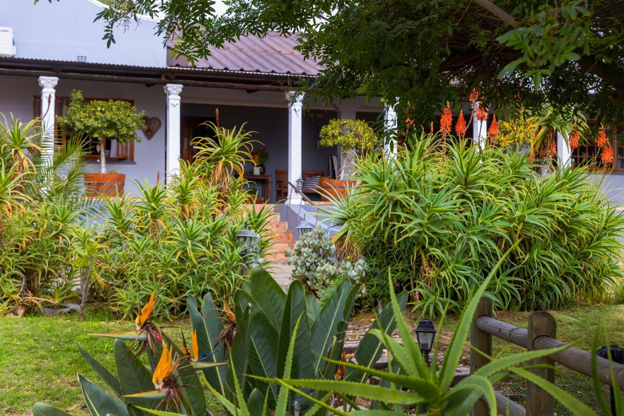 Thylitshia Villa Country Guest House أوتشورن المظهر الخارجي الصورة